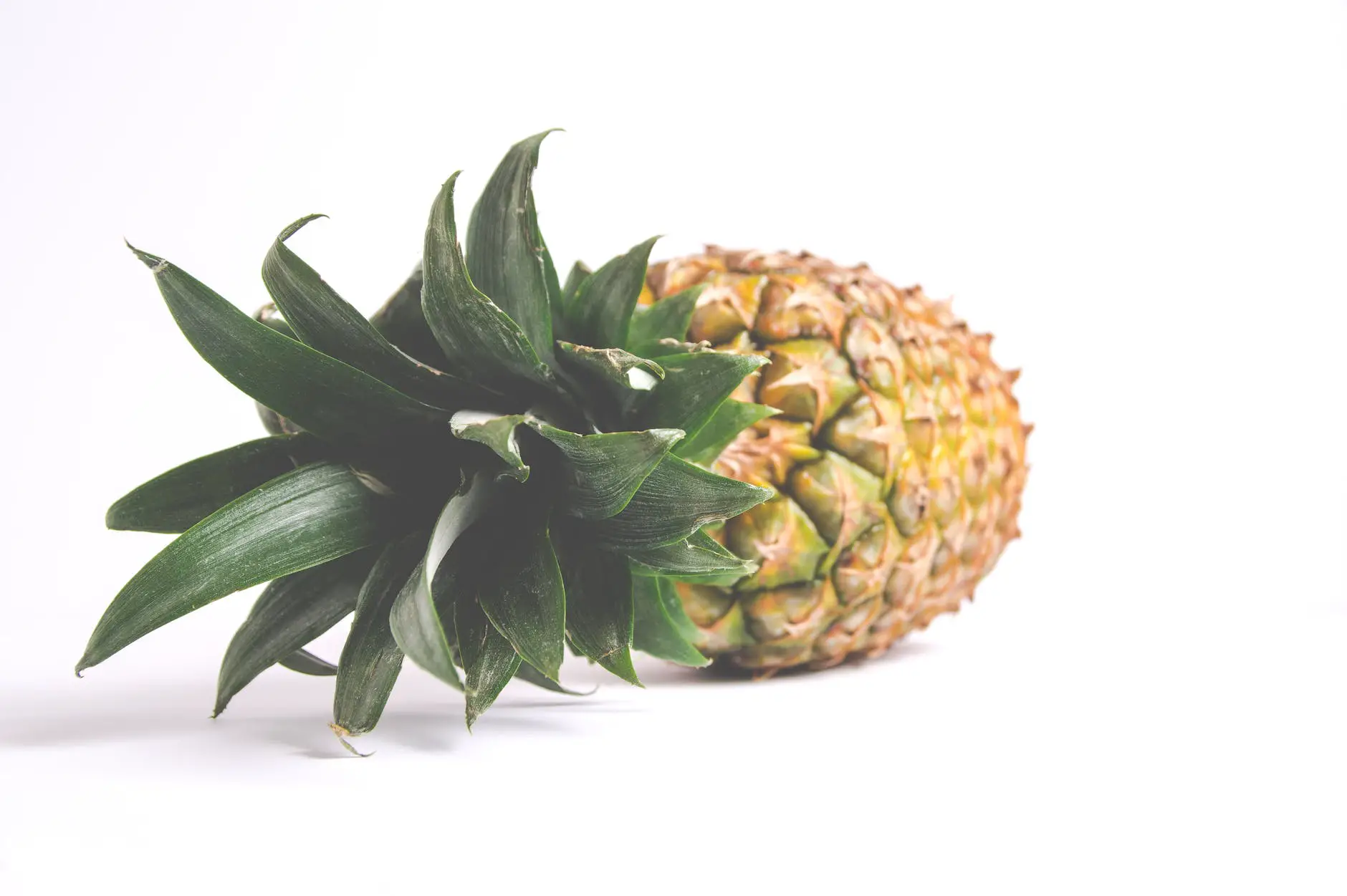 close up photography of pineapple