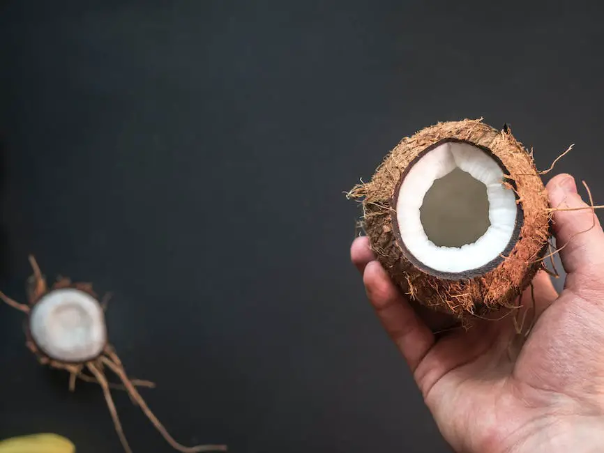 Image of opening a coconut with a hammer and accessing the coconut meat with a knife