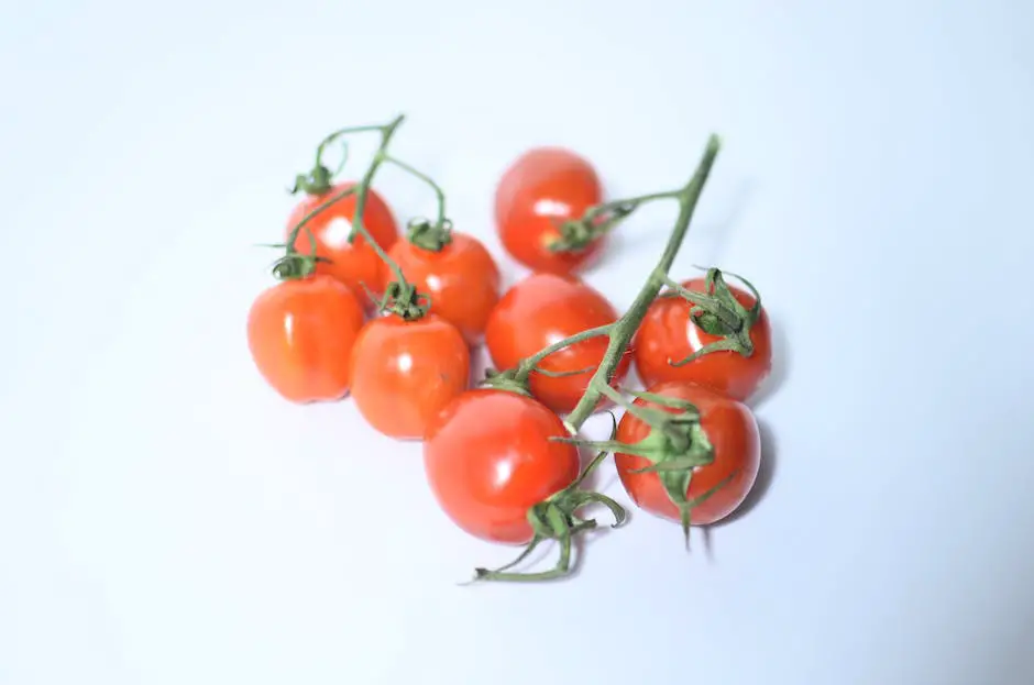 Illustration of different varieties of cherry tomatoes growing on a vine.